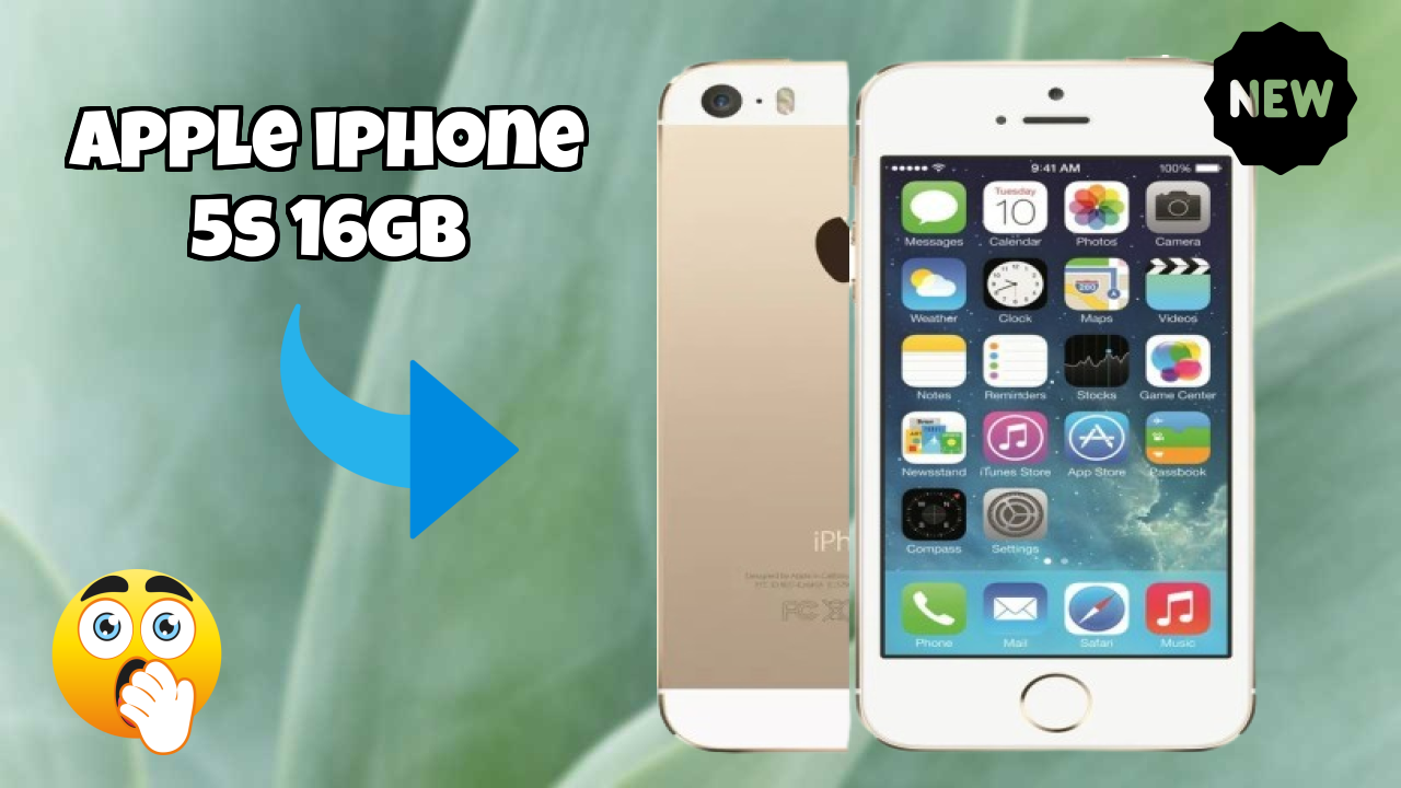 Apple IPhone 5s 16GB Camera Samples: 8 MP Rear Camera Real Test